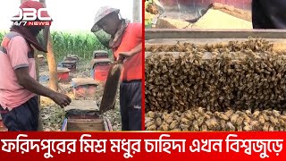 ফরিদপুরে বাণিজ্যিকভাবে মৌচাষ করে লাভবান মৌয়ালরা | DBC NEWS