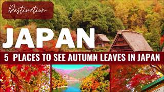 5 Best Places to See Autumn Leaves in Japan - Momijigari