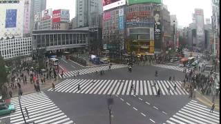 【LIVE CAMERA】渋谷スクランブル交差点 ライブ映像　Shibuya scramble crossing HIGH
