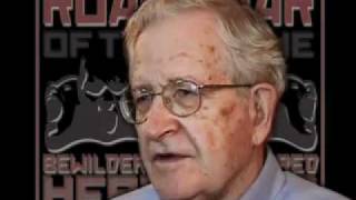 Professor Noam Chomsky speaks about the Bewildered Herd