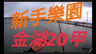 瞎趴 蝦竿 前打 雲林釣點 金湖 20甲 水門 新手練習的好場所 魚種豐富 常常有驚喜（大物）