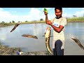 Different thoondil fishing tamil, kuravai meen, you know all?