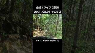 山道ドライブ 2024.08.01 (その5-3) / GoProHERO12 / Mountain Driving #森林作業道 #林業 #自然 #山林 #forest #自伐型林業 #森林