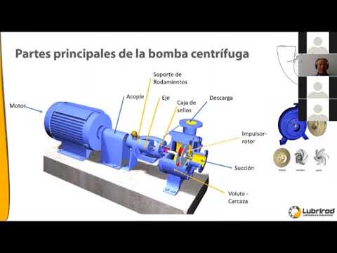 De Vida A Sus Bombas Centrifugas - Parte 1 - YouTube