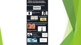 English 317 Project #3 Infographic Justification Presentation