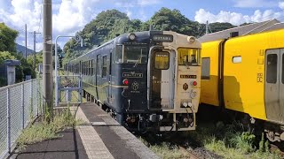 喜入駅にいぶたまを見に行ったよ。