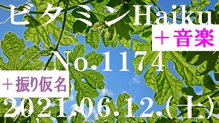 今日の俳句＋音楽。ビタミンHaiku。No.1174。2021.06.12.(土曜日)