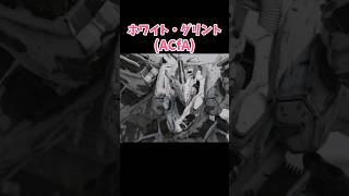 【ACfA 機体紹介】『ホワイト・グリント』【エアちゃん解説】