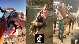 Horse TikToks That Went Viral! #1