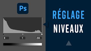 Le réglage "Niveaux" dans Photoshop [Formation Photoshop]