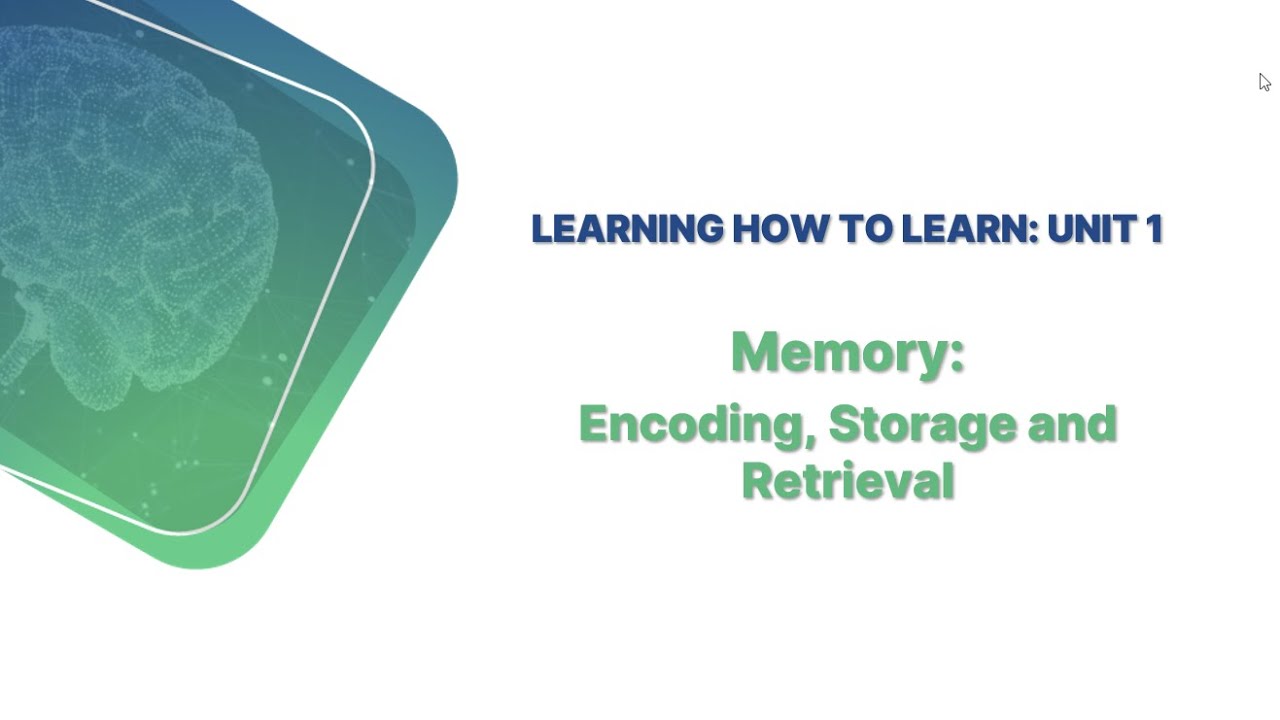 Memory: Encoding, Storage And Retrieval - YouTube