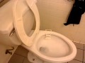 Awesome Power of Publix Toilets(Strange Gerber Toilet)