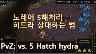 [Eng Sub] [PvZ] Corsair and weapon upgraded speedlots (+ How to respond zerg's 5 Hatch hydra) 