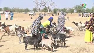 Région de l’Est : les équipes en pleine campagne de vaccination animale