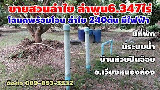 001-67ขายสวนลำไยลำพูน 6.347 ไร่ ลำไย 240 ต้น ไฟฟ้า ระบบน้ำ ที่พัก โฉนดฟรีโอน#ขายสวนลำไย