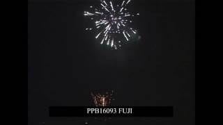 FUJI PPB16093 - Panta