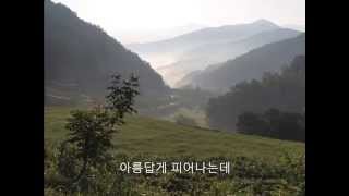 조미미 산처녀