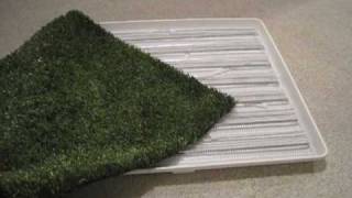 How To Make an Indoor / Outdoor Pet Bathroom, Starring Dash the Beagle