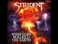 Strident - Above the Ashes