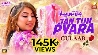 Jan Tun Pyara | جان توں پیارا | New Song 2023 | Gulaab | (Official Music Video) Tp Gold