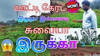 ஊட்டி விவசாயம் உங்களுக்கு தெரியுமா?