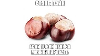 100 НЕСМЕШНЫХ МЕМОВ ИЗ 2488