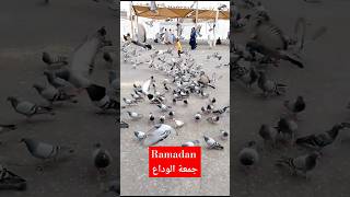 Happy Last Friday of Ramadan || Juma tul wida ||  جمعة الوداع || best month of all #viral  #shorts