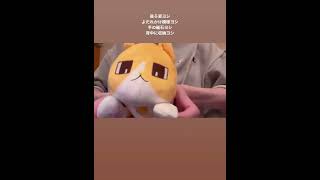 【Eve】管理人さんの猫を点検するEveくん　~Instagramより~