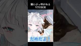 🐉猫にぶっ叩かれるVTuber(叱られたい猫向けシチュボ)🐉 #vtuber #vtuber準備中 #新人vtuber #個人勢vtuber #cute #バズれ #shorts