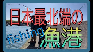 日本最北端の漁港で釣り！！【利尻遠征序章④】