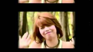 MV เห็นหมีหนูมั้ย.flv