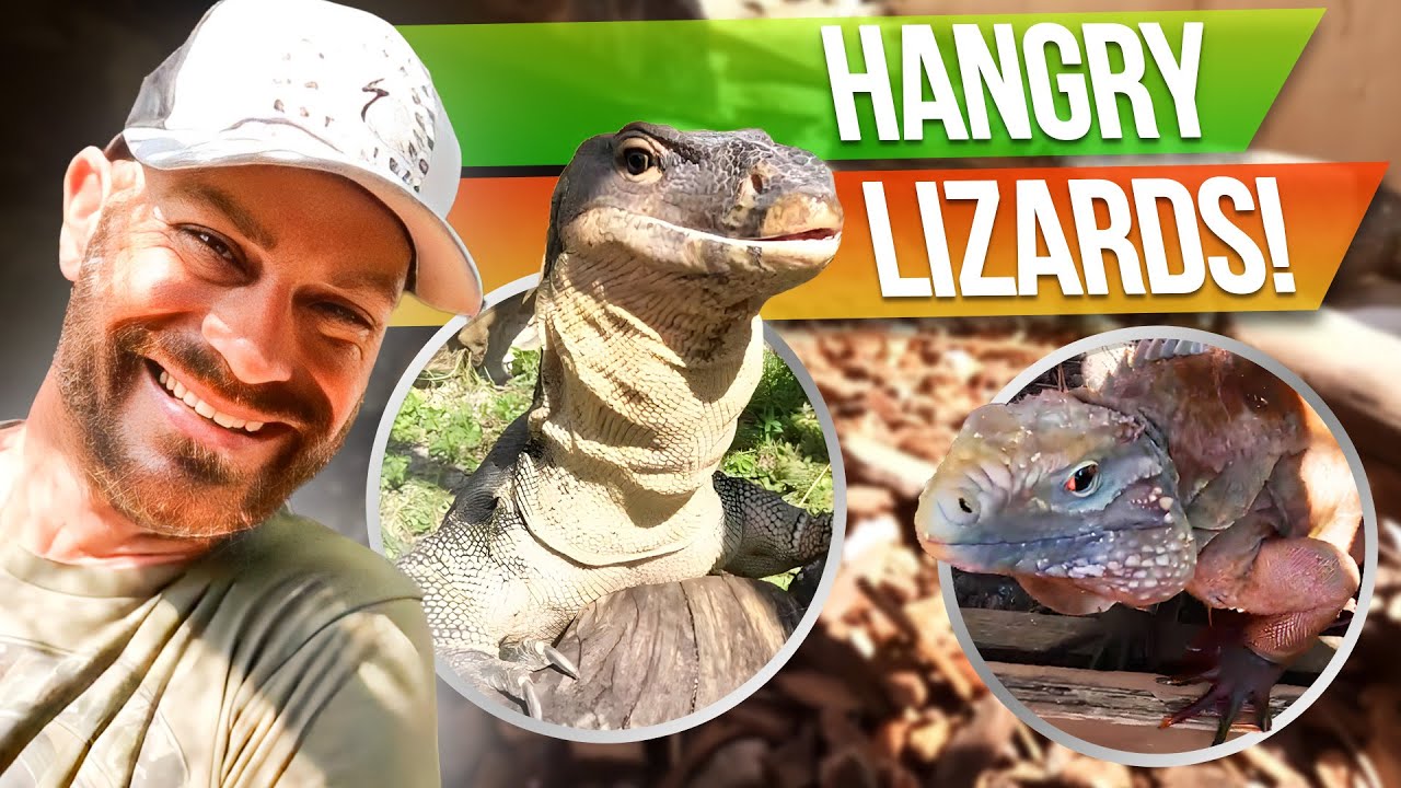 Best Feeding Day Youtube