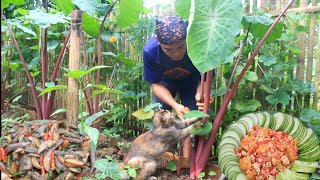 Lompong merah dengan jengkol rebus masak oseng dan pecak kecombrang tahu kuning masakan khas desa