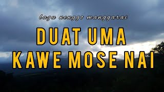 Duat Uma Kawe Mose Nai || lagu  Nenggo Manggarai