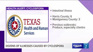 Dozens of people sick due to cyclospora parasite