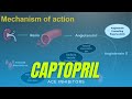 All you need to know about Captopril | ACE Inhibitors