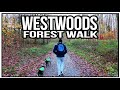 WORK - WESTWOODS - FOREST DRONE FLIGHT