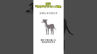 雑学『鳴き声が少ない犬種』＃犬、＃雑学、＃犬雑学、＃いぬ、＃豆知識、＃VOICE VOX（ずんだもん）、＃愛されているサイン、＃VOICE VOX（青山龍星）