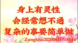 卢台长开示：身上有灵性会经常想不通，复杂的事要简单做Zongshu20200611   00:44