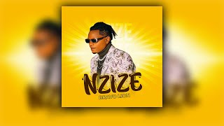 Nzize - Bravo Lion (Official Audio)