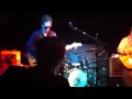 The Feelies- The High Road
