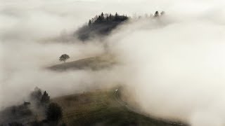 Mystic Foggy Morning in Autumn Country with Road and Tree | Stock Footage - Videohive