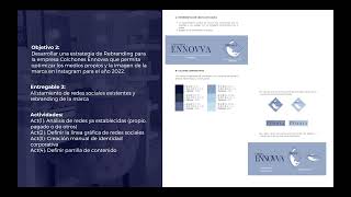 Informe final de proyecto y resultados - Colchones Ennovva