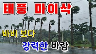 태풍 마이삭 북상 실시간 제주도 상황 : 바비보다 훨씬 강력한 마이삭