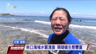 歷經重油汙染 綠島海域恢復豐富生態 20170422 公視晚間新聞