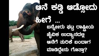 ಬನ್ನೇರುಘಟ್ಟ ಜೈವಿಕ ಉದ್ಯಾನ | ಆನೆ ಕಡ್ಡಿ ಆಡ್ಸೋದು ಹೀಗೆ