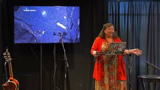 The Ultraview Effect: Awe, Humility, and Exploring the Unknown by Deana Weibell, Ph.D.
