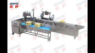 Zenyer 615 automatic vacuum egg loader egg lifter 30000~60000 eggs/hour