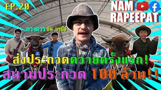 NAM RAPEEPAT EP.20 ประกวดควายครั้งแรก สนามประกวด 100 ล้าน!!