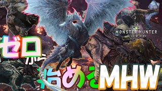 【MHWIB】導きの地で山籠もり！参加型配信！【ゼロから始めるMHW】